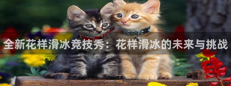 球派体育免费直播下载