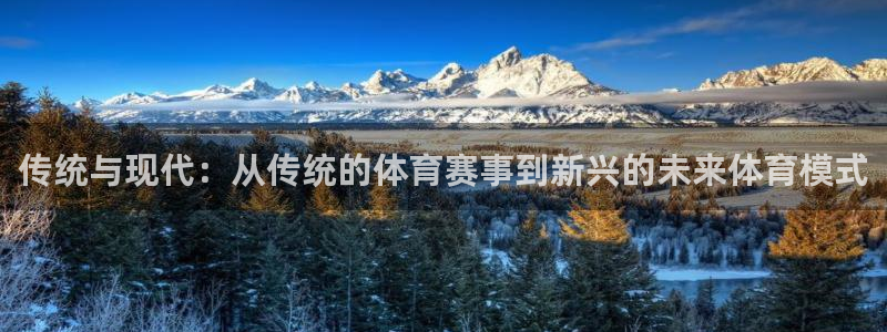 球派体育老版本