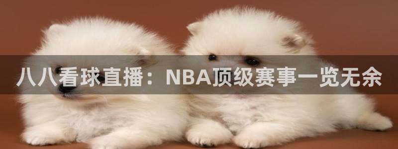 球派体育app下载安装苹果