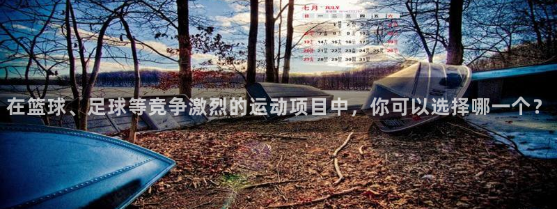 球派体育app下载入口