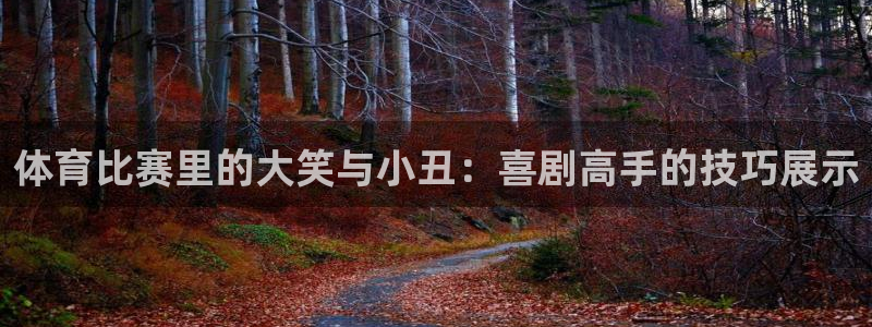 球派体育app下载免费