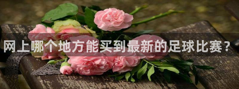 球球派