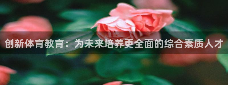 球派体育app下载官网最新版