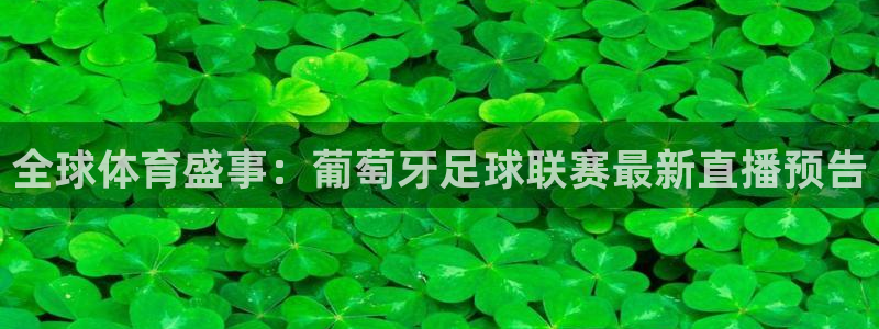 球派体育