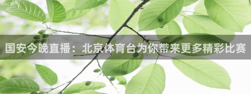 球派体育免费下载