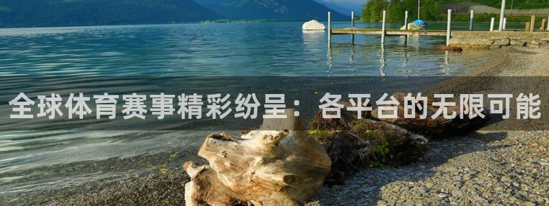 球派体育手机版app：全球体育赛事精彩纷呈：各平台的无限可能